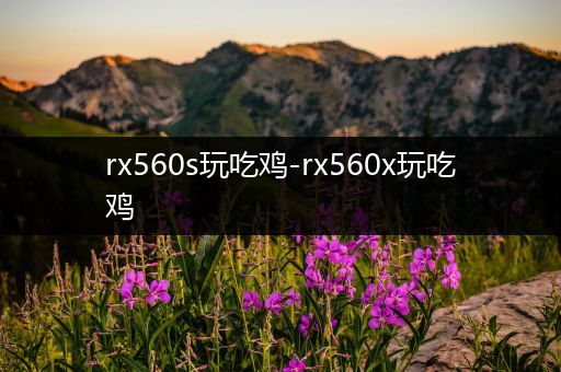 rx560s玩吃鸡-rx560x玩吃鸡
