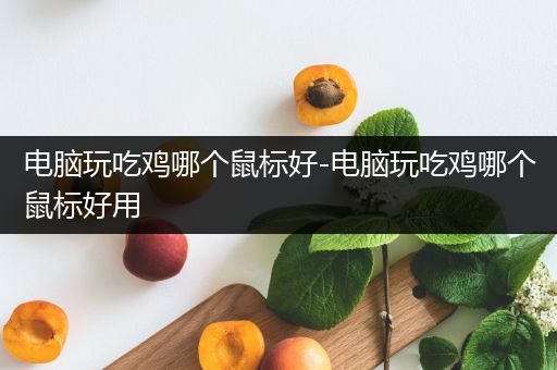 电脑玩吃鸡哪个鼠标好-电脑玩吃鸡哪个鼠标好用