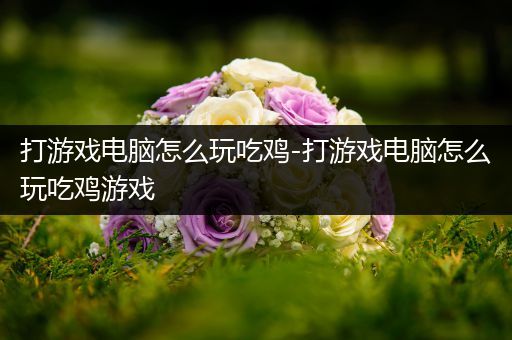 打游戏电脑怎么玩吃鸡-打游戏电脑怎么玩吃鸡游戏
