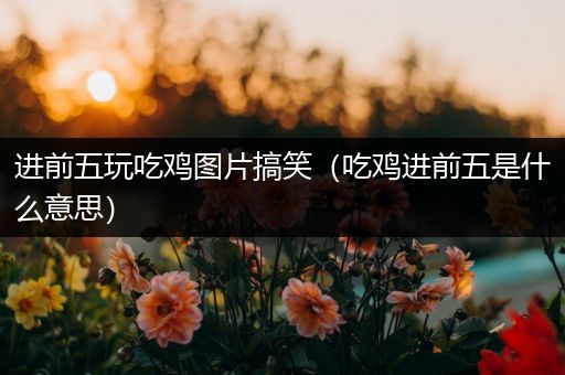 进前五玩吃鸡图片搞笑（吃鸡进前五是什么意思）