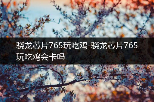 骁龙芯片765玩吃鸡-骁龙芯片765玩吃鸡会卡吗