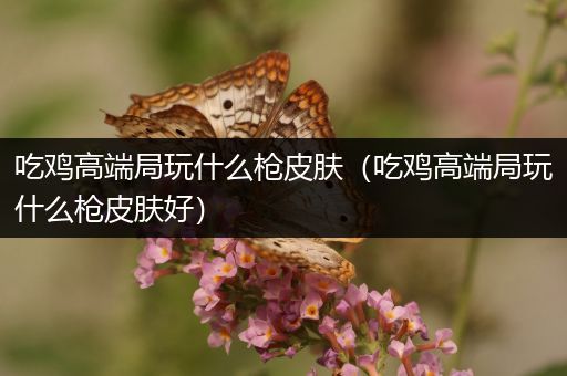 吃鸡高端局玩什么枪皮肤（吃鸡高端局玩什么枪皮肤好）