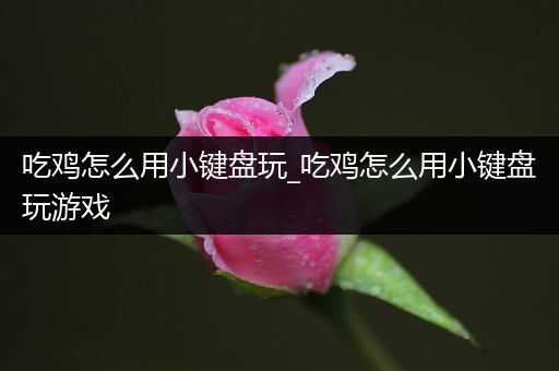 吃鸡怎么用小键盘玩_吃鸡怎么用小键盘玩游戏
