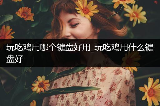 玩吃鸡用哪个键盘好用_玩吃鸡用什么键盘好