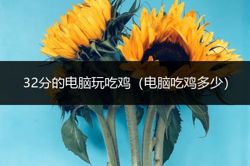 32分的电脑玩吃鸡（电脑吃鸡多少）