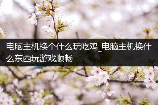 电脑主机换个什么玩吃鸡_电脑主机换什么东西玩游戏顺畅