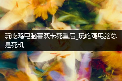 玩吃鸡电脑喜欢卡死重启_玩吃鸡电脑总是死机