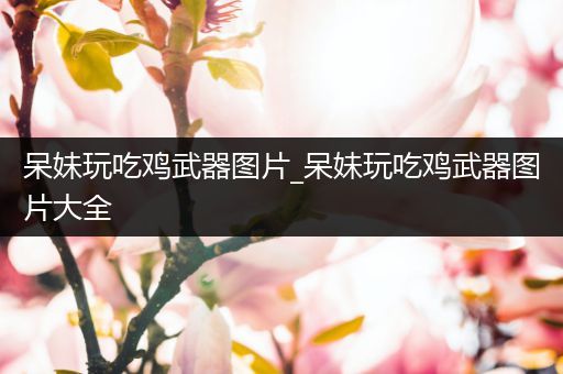 呆妹玩吃鸡武器图片_呆妹玩吃鸡武器图片大全