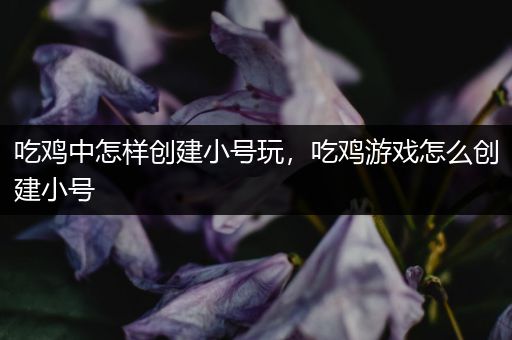 吃鸡中怎样创建小号玩，吃鸡游戏怎么创建小号