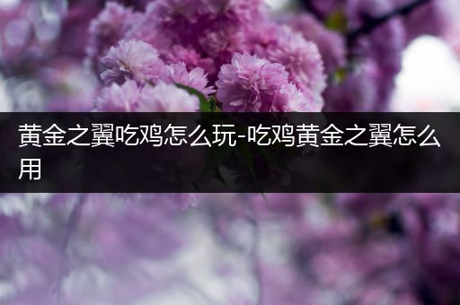 黄金之翼吃鸡怎么玩-吃鸡黄金之翼怎么用