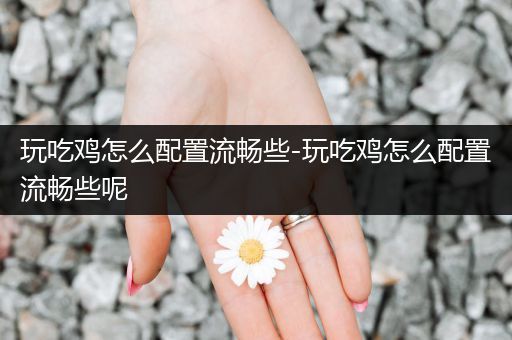 玩吃鸡怎么配置流畅些-玩吃鸡怎么配置流畅些呢