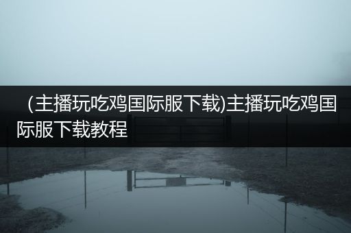 （主播玩吃鸡国际服下载)主播玩吃鸡国际服下载教程