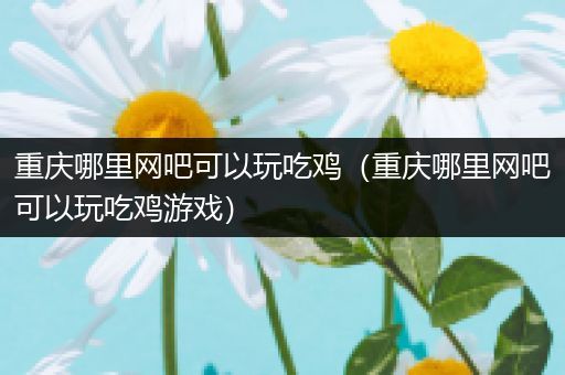 重庆哪里网吧可以玩吃鸡（重庆哪里网吧可以玩吃鸡游戏）