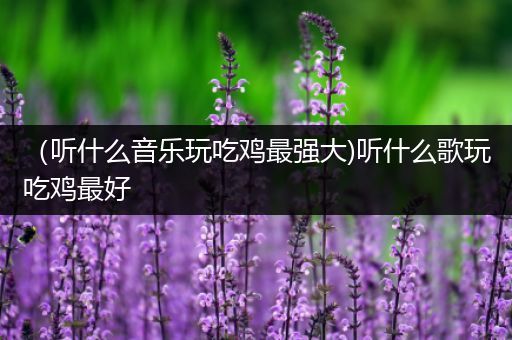 （听什么音乐玩吃鸡最强大)听什么歌玩吃鸡最好