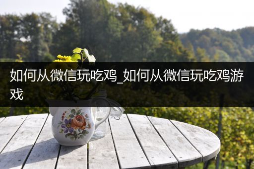 如何从微信玩吃鸡_如何从微信玩吃鸡游戏
