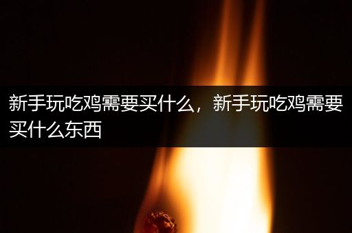 新手玩吃鸡需要买什么，新手玩吃鸡需要买什么东西