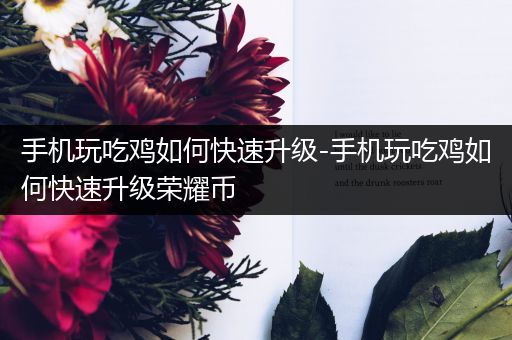 手机玩吃鸡如何快速升级-手机玩吃鸡如何快速升级荣耀币