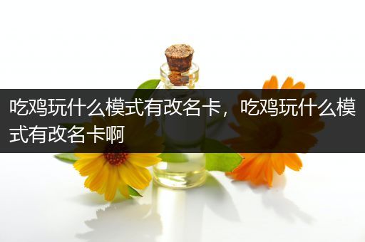 吃鸡玩什么模式有改名卡，吃鸡玩什么模式有改名卡啊