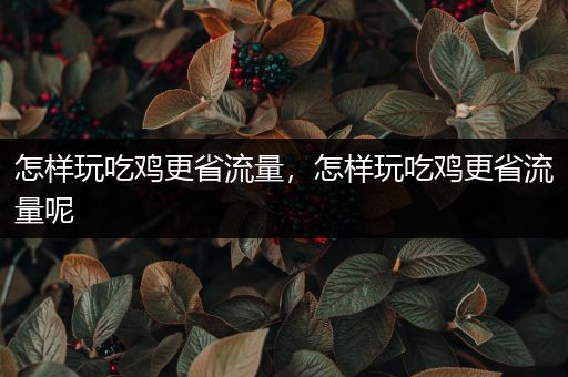 怎样玩吃鸡更省流量，怎样玩吃鸡更省流量呢