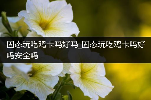 固态玩吃鸡卡吗好吗_固态玩吃鸡卡吗好吗安全吗
