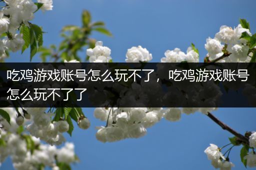 吃鸡游戏账号怎么玩不了，吃鸡游戏账号怎么玩不了了