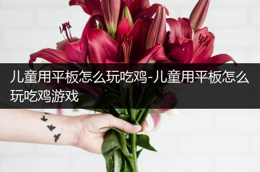 儿童用平板怎么玩吃鸡-儿童用平板怎么玩吃鸡游戏