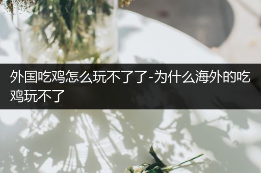 外国吃鸡怎么玩不了了-为什么海外的吃鸡玩不了