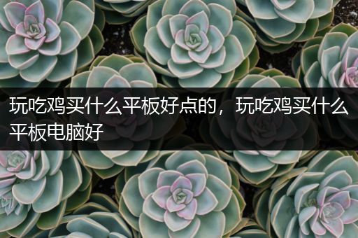玩吃鸡买什么平板好点的，玩吃鸡买什么平板电脑好