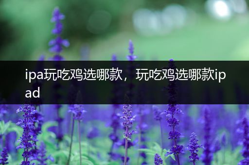 ipa玩吃鸡选哪款，玩吃鸡选哪款ipad