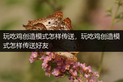 玩吃鸡创造模式怎样传送，玩吃鸡创造模式怎样传送好友