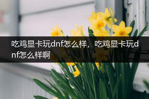 吃鸡显卡玩dnf怎么样，吃鸡显卡玩dnf怎么样啊