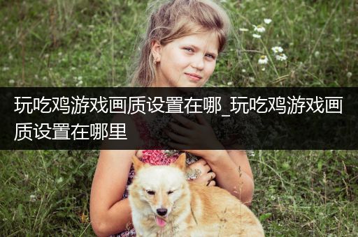 玩吃鸡游戏画质设置在哪_玩吃鸡游戏画质设置在哪里