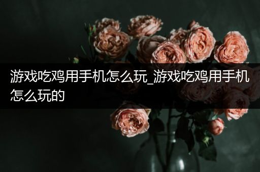 游戏吃鸡用手机怎么玩_游戏吃鸡用手机怎么玩的