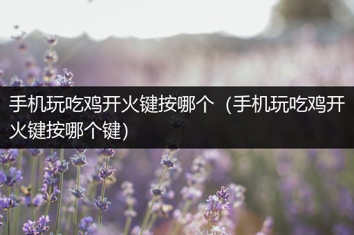 手机玩吃鸡开火键按哪个（手机玩吃鸡开火键按哪个键）