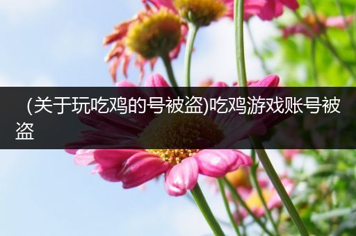 （关于玩吃鸡的号被盗)吃鸡游戏账号被盗