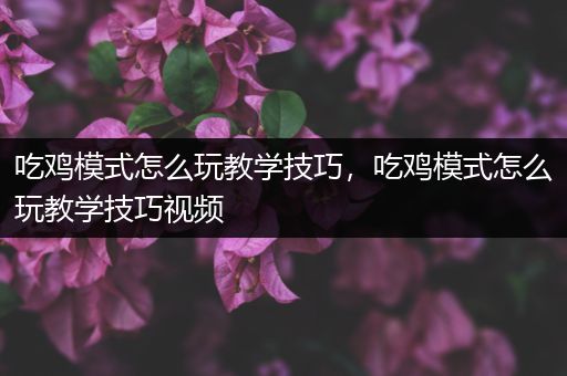 吃鸡模式怎么玩教学技巧，吃鸡模式怎么玩教学技巧视频