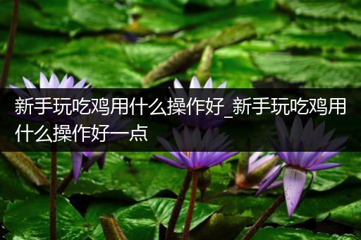 新手玩吃鸡用什么操作好_新手玩吃鸡用什么操作好一点