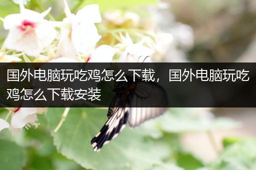 国外电脑玩吃鸡怎么下载，国外电脑玩吃鸡怎么下载安装