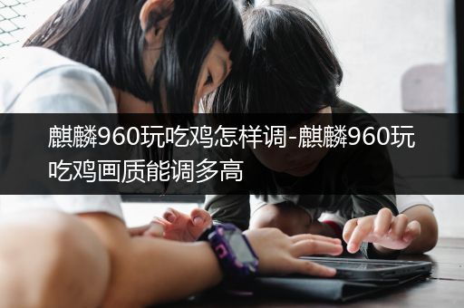 麒麟960玩吃鸡怎样调-麒麟960玩吃鸡画质能调多高