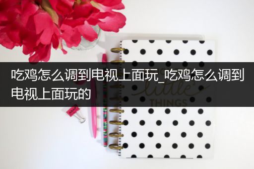 吃鸡怎么调到电视上面玩_吃鸡怎么调到电视上面玩的