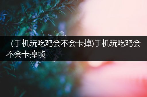 （手机玩吃鸡会不会卡掉)手机玩吃鸡会不会卡掉帧