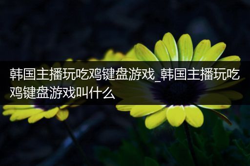 韩国主播玩吃鸡键盘游戏_韩国主播玩吃鸡键盘游戏叫什么