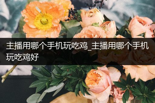 主播用哪个手机玩吃鸡_主播用哪个手机玩吃鸡好