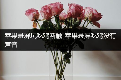 苹果录屏玩吃鸡断触-苹果录屏吃鸡没有声音