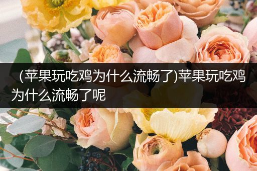 （苹果玩吃鸡为什么流畅了)苹果玩吃鸡为什么流畅了呢