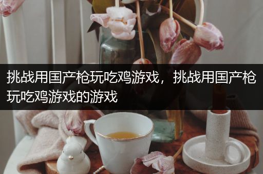 挑战用国产枪玩吃鸡游戏，挑战用国产枪玩吃鸡游戏的游戏