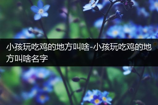 小孩玩吃鸡的地方叫啥-小孩玩吃鸡的地方叫啥名字