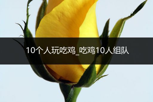 10个人玩吃鸡_吃鸡10人组队