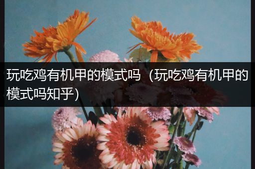 玩吃鸡有机甲的模式吗（玩吃鸡有机甲的模式吗知乎）