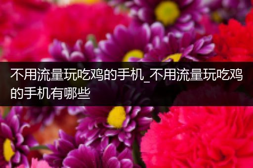 不用流量玩吃鸡的手机_不用流量玩吃鸡的手机有哪些